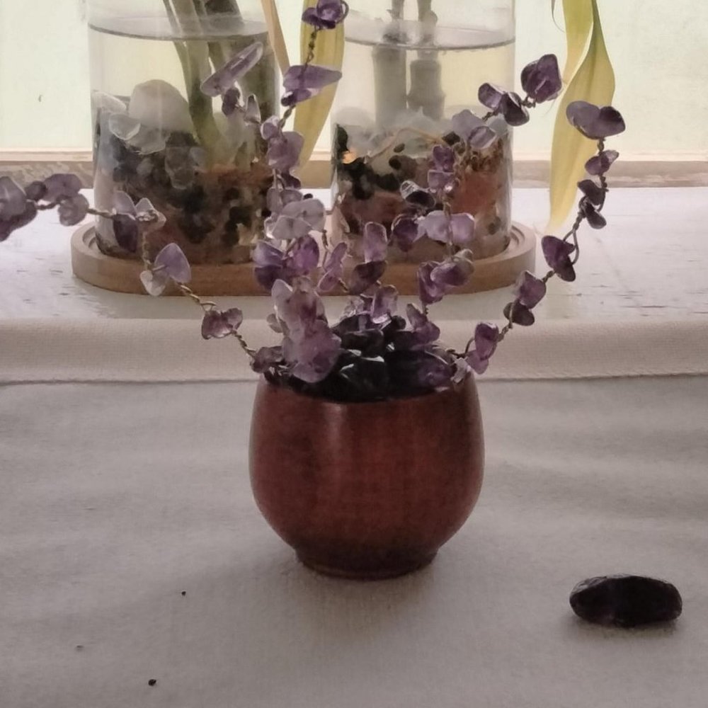 Amethyst Crystal Healing Plants